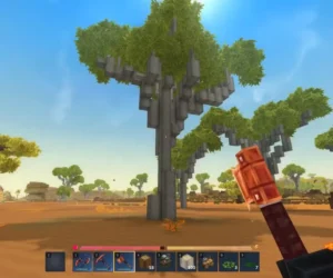 bottletree drywood hytale 3