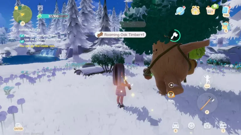 oak oak tree location in heartopia